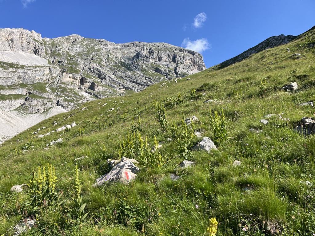 Dion - Soran 2399 m......Brenta